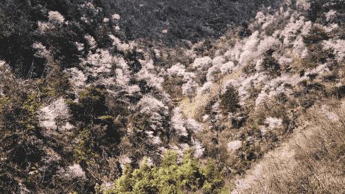 疫情结束房子会降价吗,疫情结束后又发生了什么事