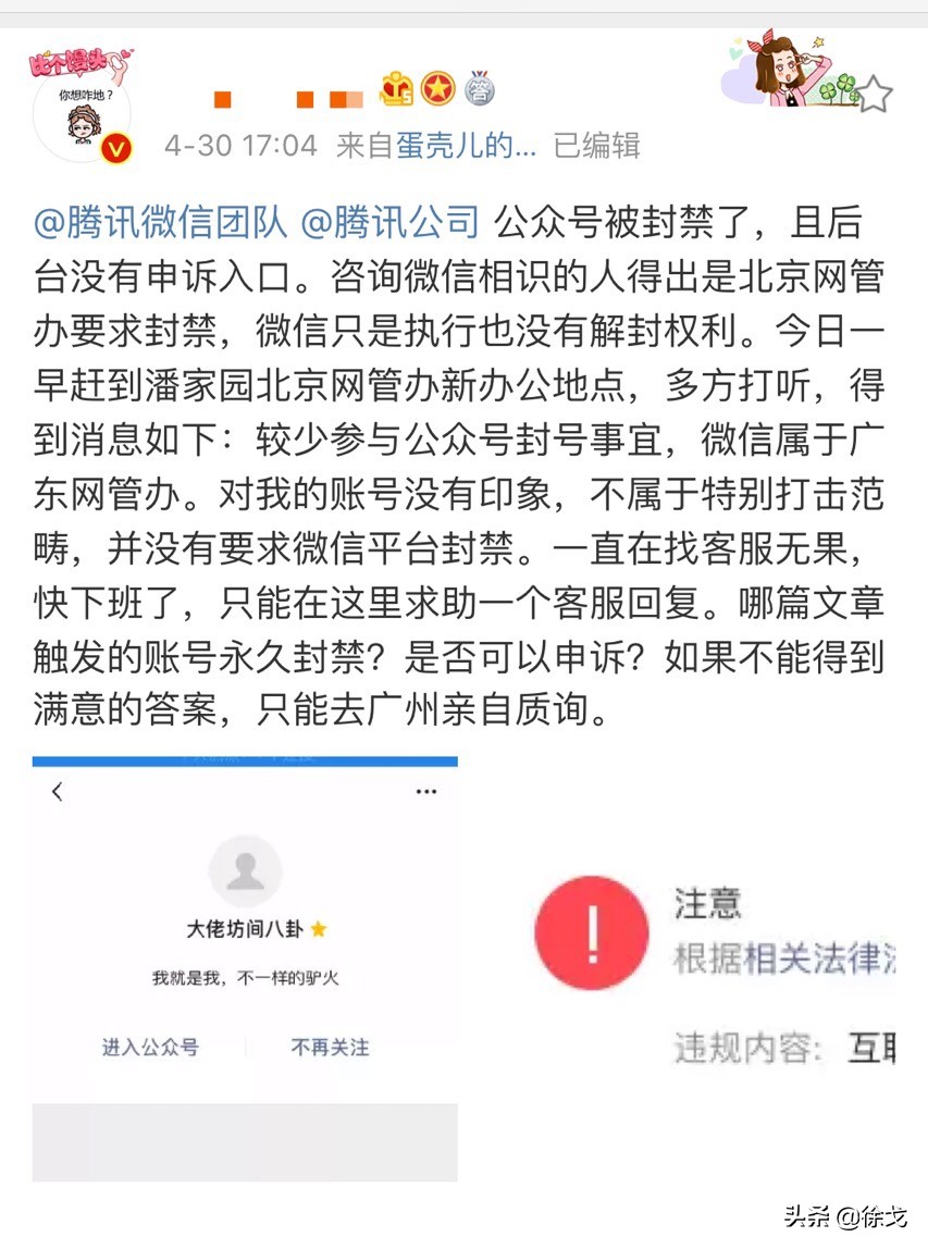 礼品代发、SEO、海参燕窝、导购一大波项目来了，老徐亲带实操