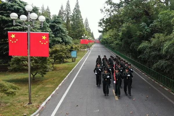 海鲨特战很厉害吗,海鲨特战旅比雪枫牛吗