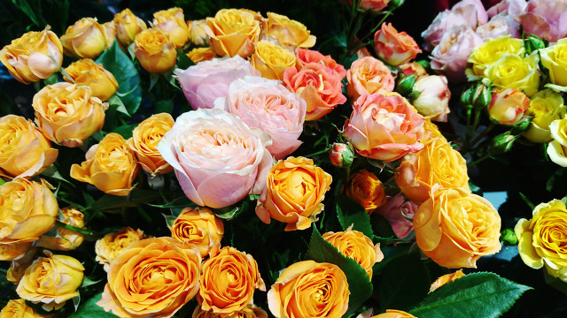 母亲节一束康乃馨的仪式感,母亲节是温馨的康乃馨