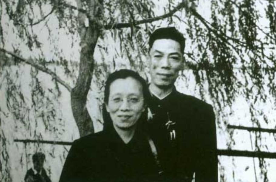 陈修良回忆地下党战斗岁月,陈修良南京解放全集播放