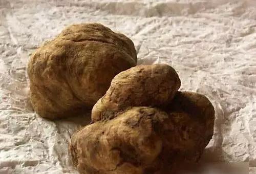 吃过最贵的海鲜是什么,吃过最奢侈的菜