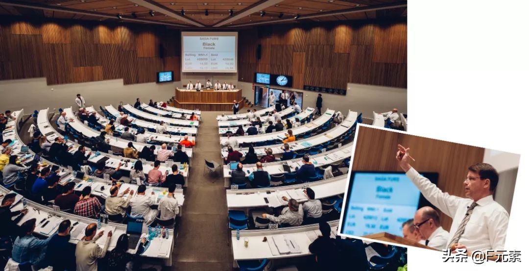 世家皮草,世家皮草再启航