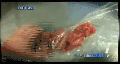 澳洲牛肉真相揭秘,澳洲牛肉揭秘