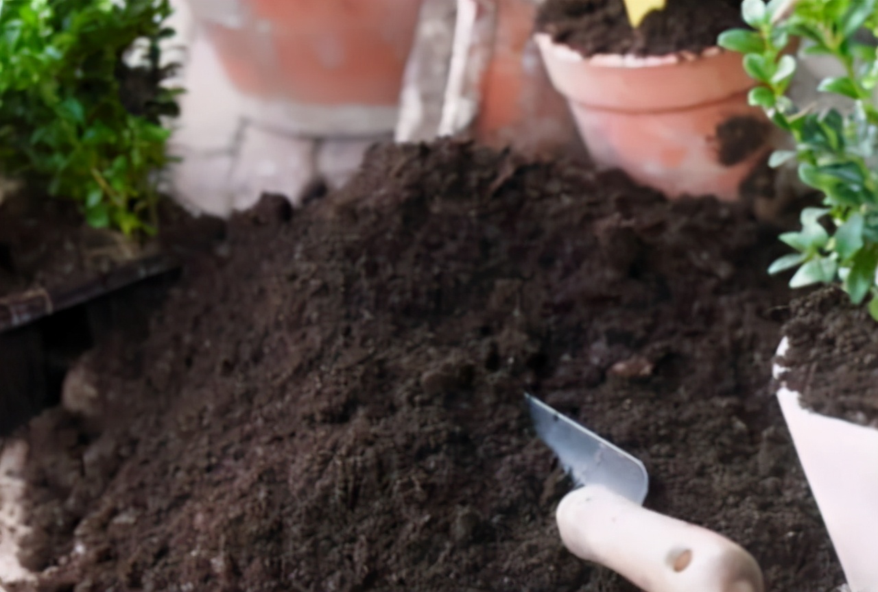 家庭养花疏松透气配土材质,养花的土怎么才能疏松透气