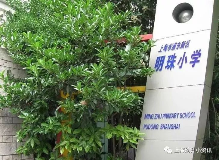 上海市浦东新区锦绣小学,上海市浦东新区莱阳小学