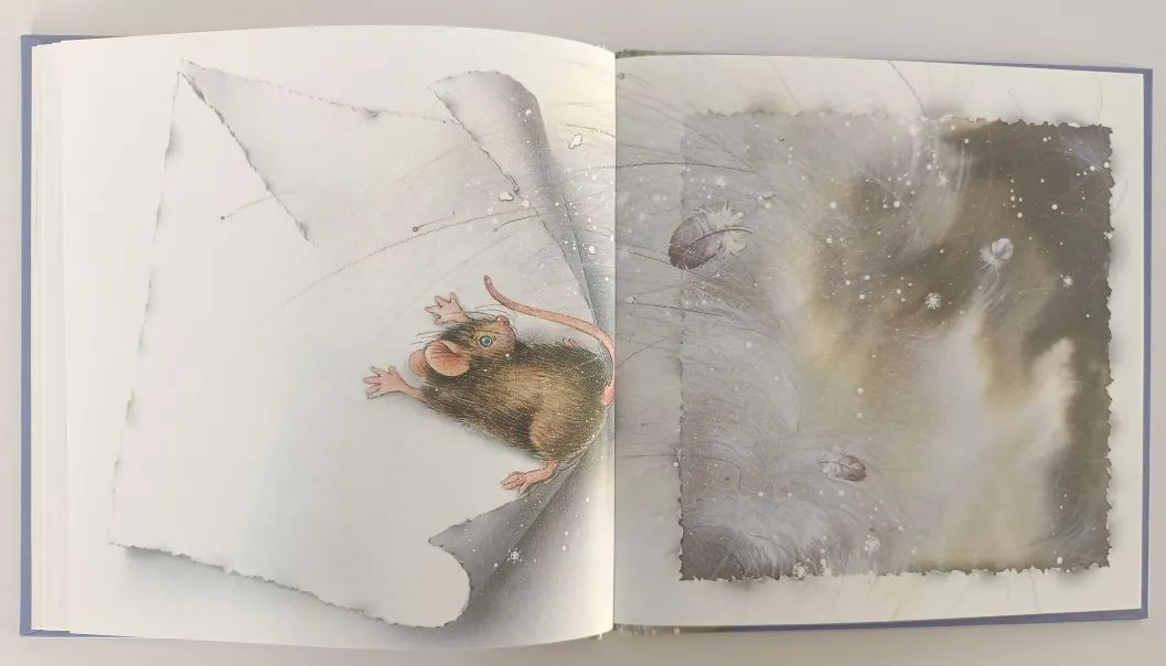 无字绘本老鼠,绘本懒惰小老鼠是怎么介绍的