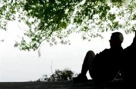 京东跟东哥,京东东哥回来了吗