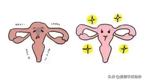 卵巢早衰5个表现症状是什么样的,输卵管早衰和卵巢早衰有什么区别