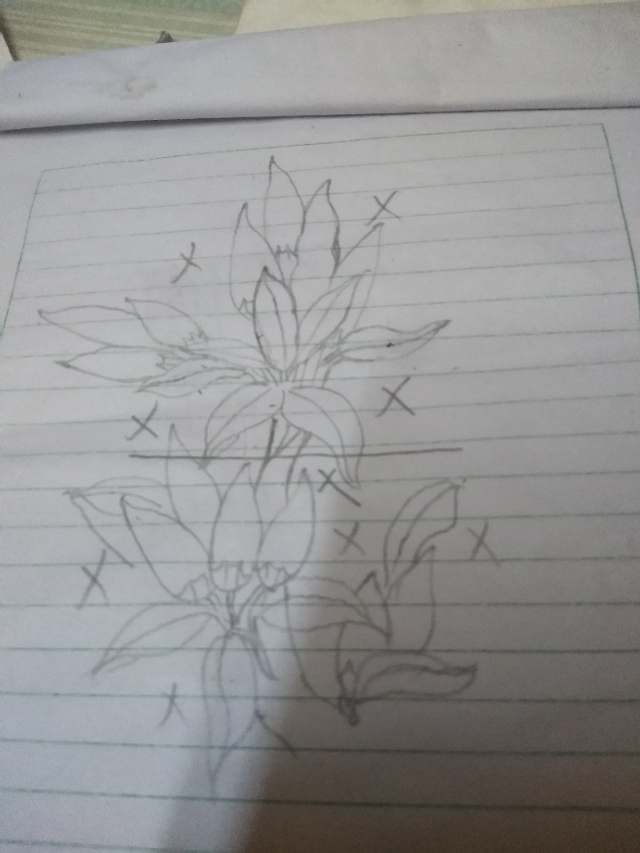 玉石小辣椒编法图解,玉石辣椒串挂件的做法