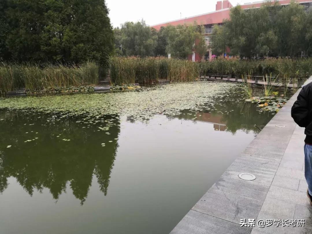 郑大研究生新生攻略,研究生期间印象深刻的事情