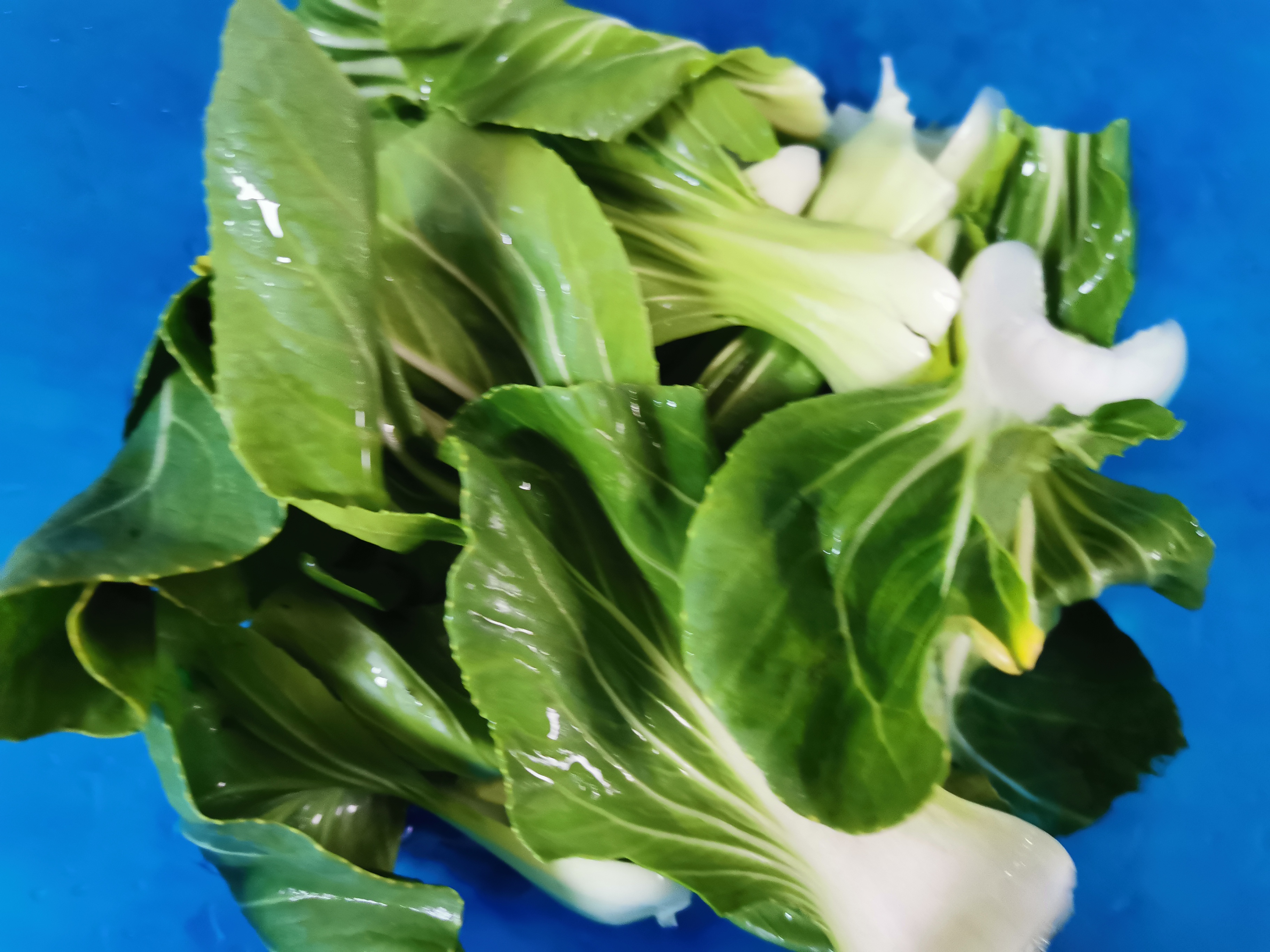 天冷最爱吃下饭菜,冬天特别爱吃的油菜尖