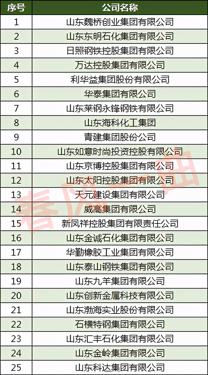 2021山东民营企业100强滨州版,中国民营企业500强山东各市名单