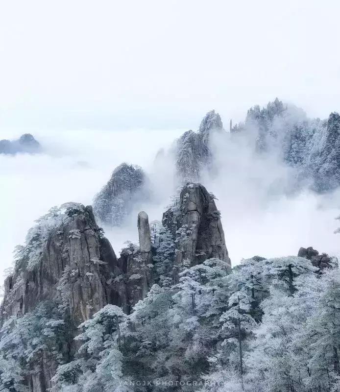 常用摄影构图方法,手机摄影构图