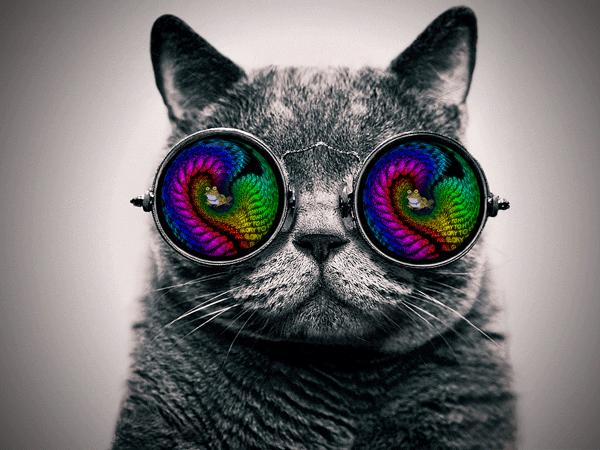 你居然答错了！D65光源，是指上午的太阳光？还是下午的太阳光？