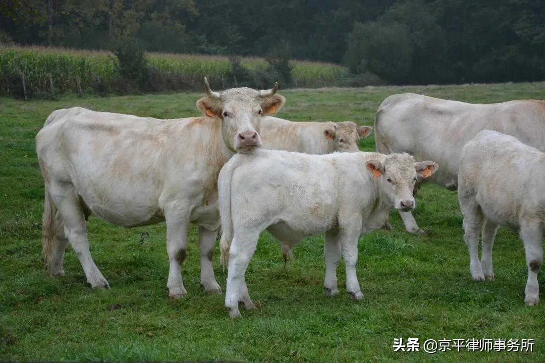 农用地建养殖场最新规定,农用地建养殖场耕地占用税