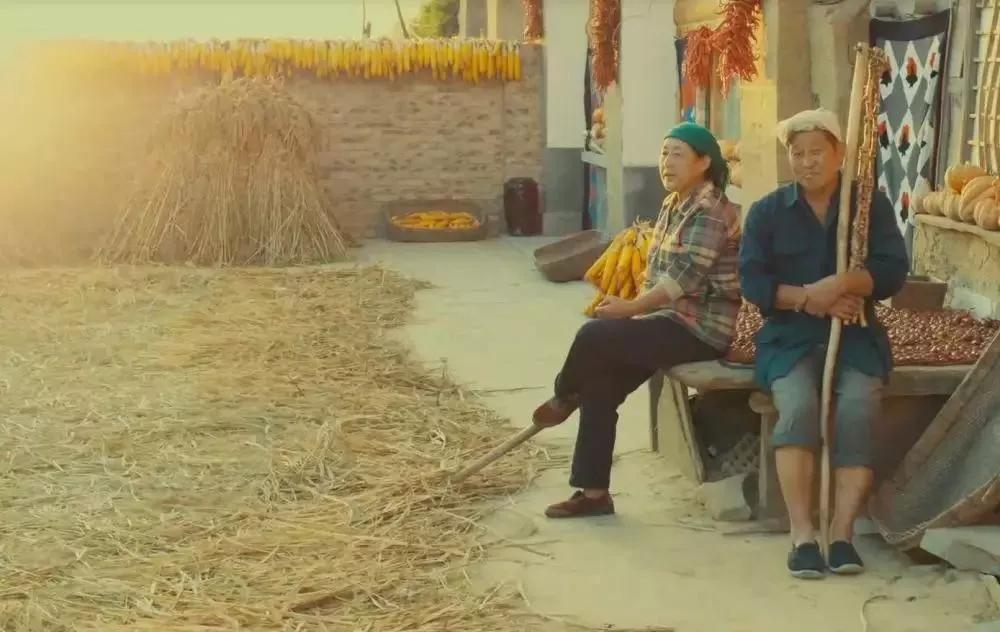 一碗糜子酒,让延川娃回到了小时候