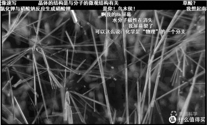 十大神仙网站,十个神仙网站排行榜