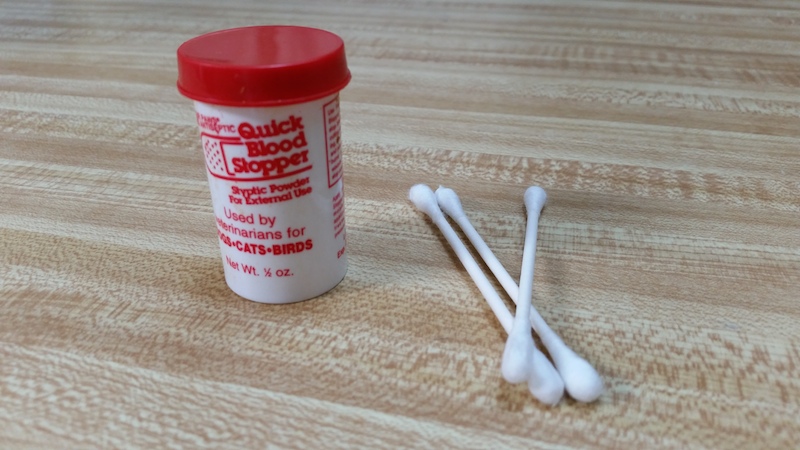 给狗狗剪指甲出血能够自愈吗,给狗狗剪指甲流血了用碘酒怎么办