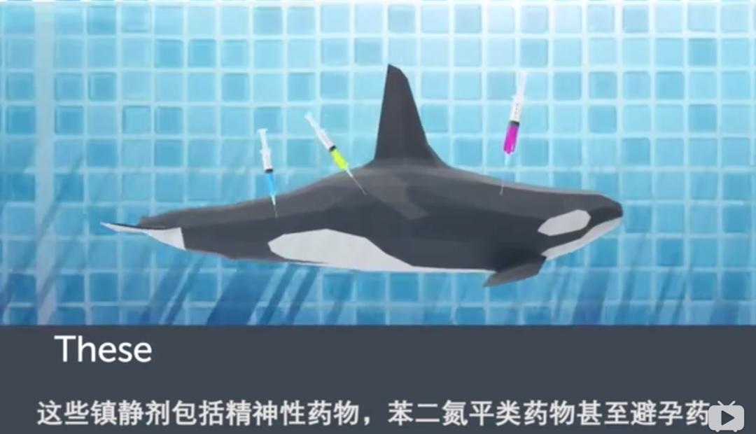 被铁链拴住的一生,被铁链绑住全身后逃脱