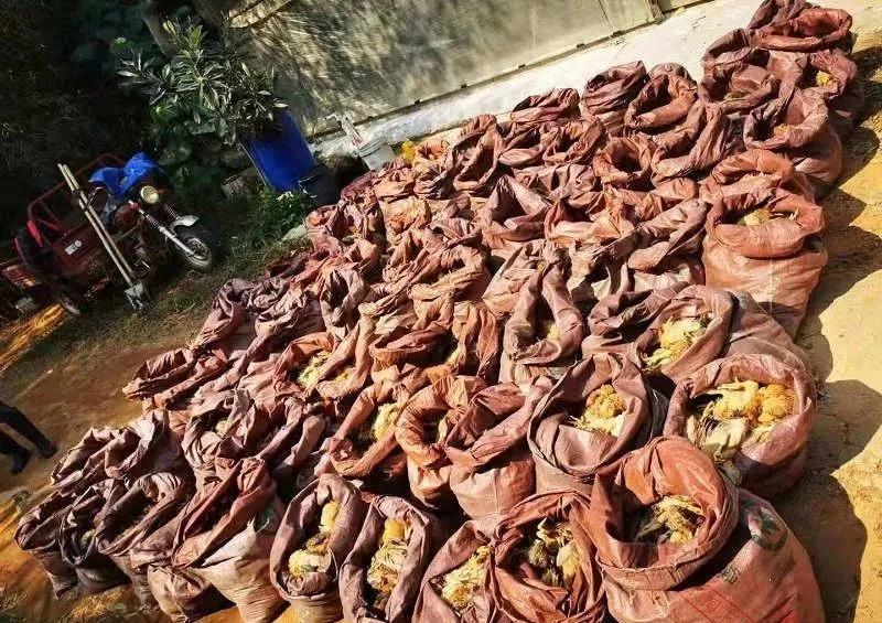 疫情三年给你带来了什么影响,疫情给我们的十条忠告