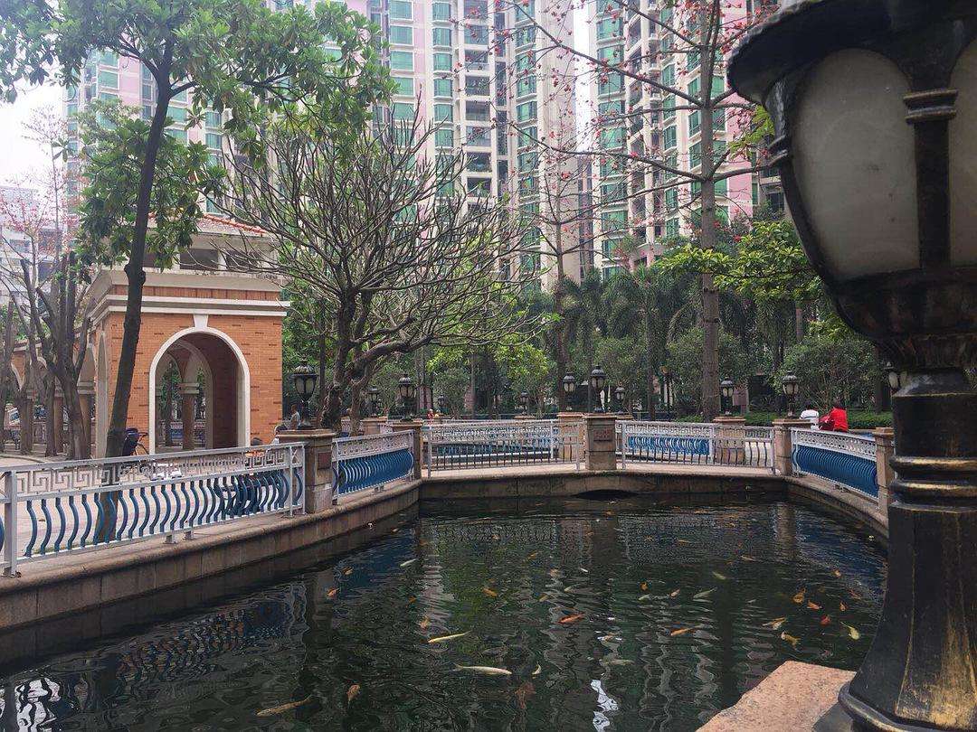 最新广州番禺大石地铁附近楼盘租房卖房价格，看完这个你就知道啦