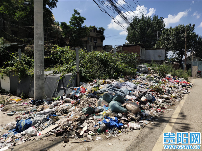 网络问政|贵阳贵钢职工宿舍旁垃圾成堆无人清运，苍蝇老鼠遍布