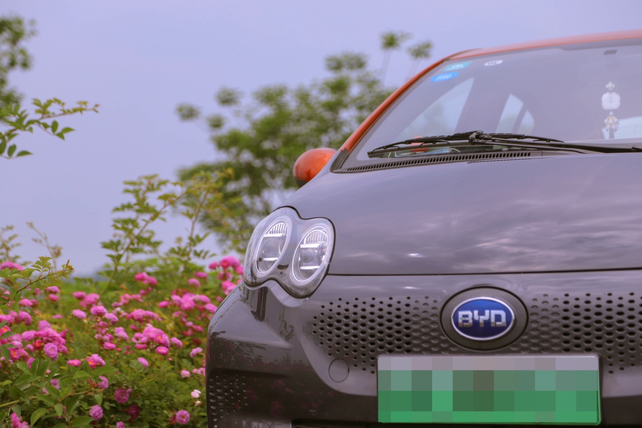 萌新小车推荐,新能源萌车推荐