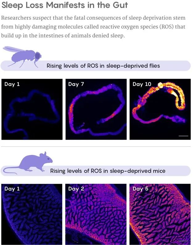 了解人体的奥秘善待自己的身体,了解一个大自然的科学现象