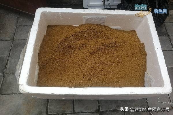 渔具店有小黄面吗,渔具小黄面