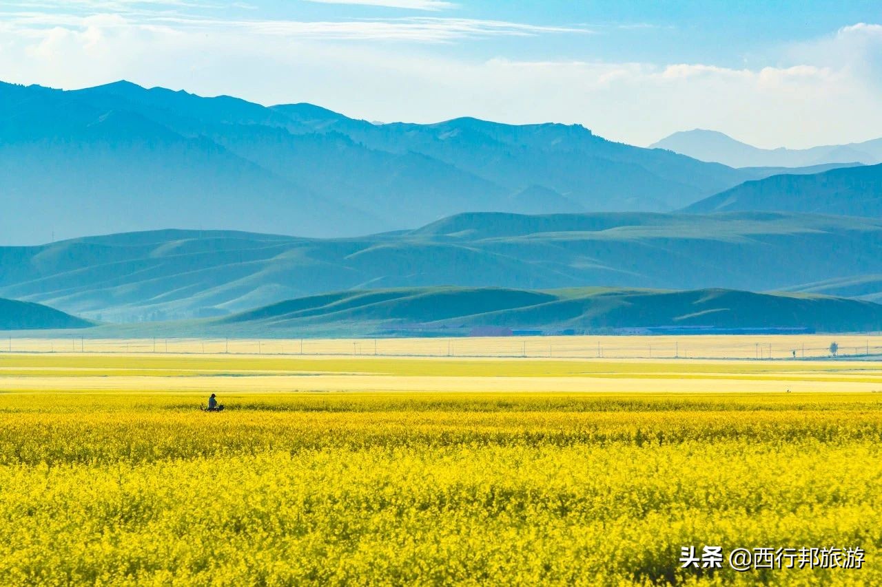哼，又想「骗」我去*疆新**旅游！