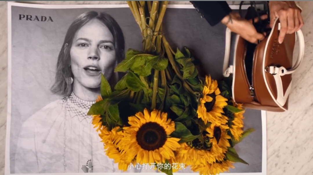 女王节，Prada鲜花让时尚破格融入日常