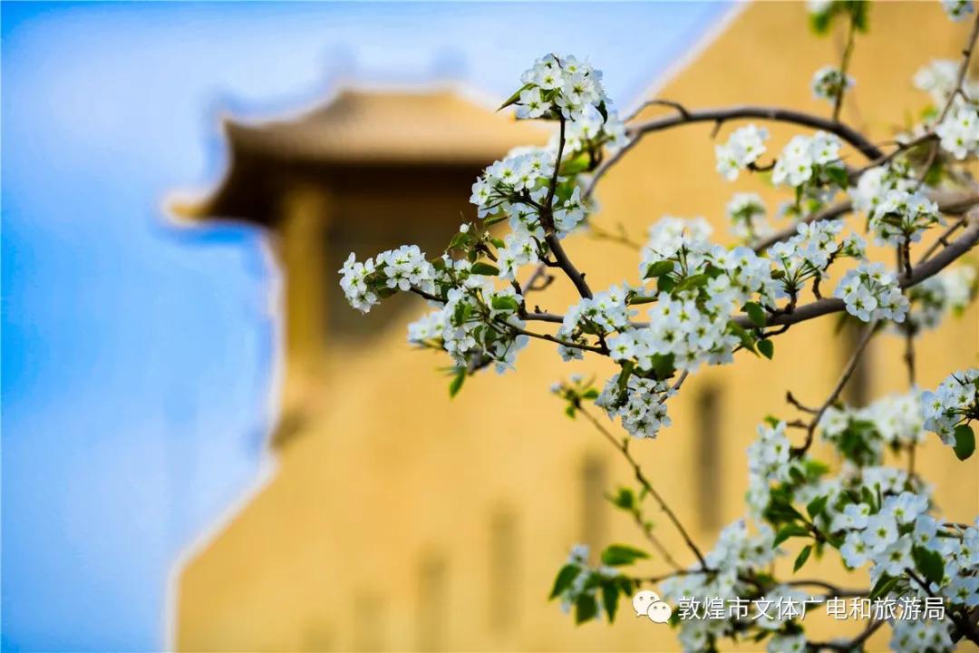 鏁︾厡灞卞簞搴櫌鏅,鏁︾厡灞卞簞搴櫌娣卞害