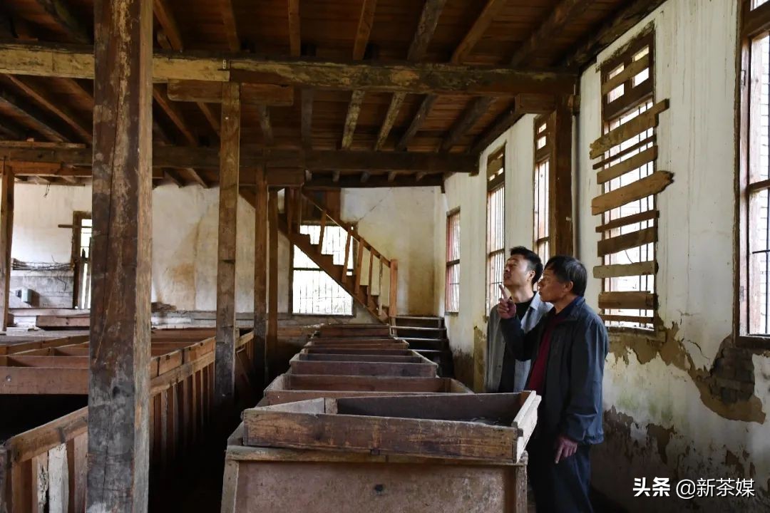 南糯山茶叶的故事,南糯山茶厂视频