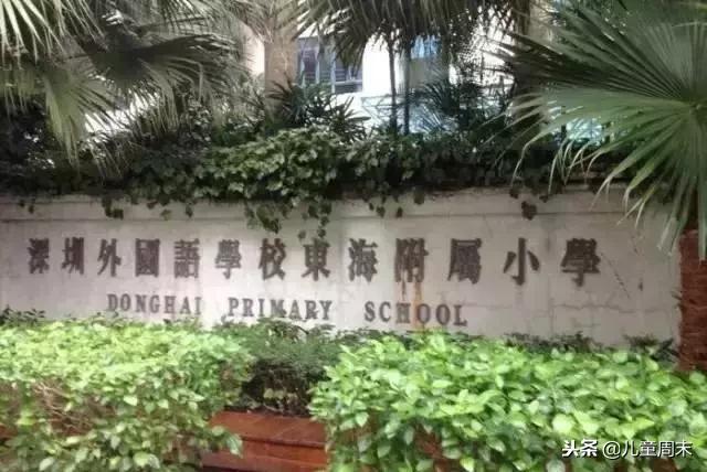 深圳贵族豪门学校,深圳顶级富人区学校