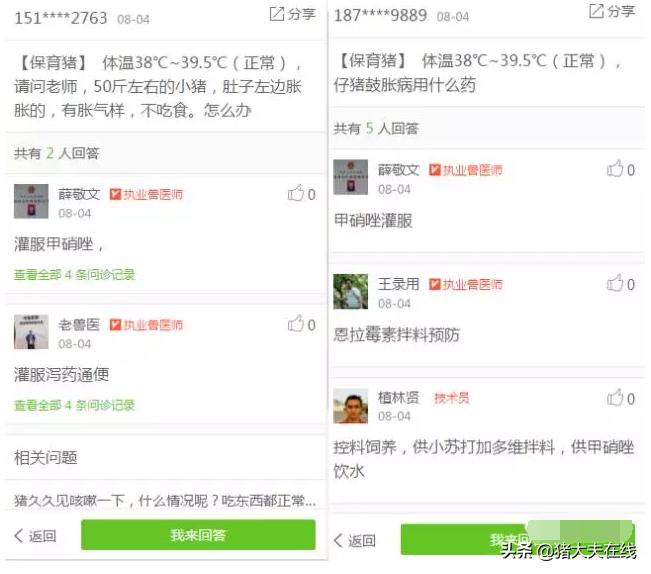 简单易学猪胀气急救办法，真能救猪命！