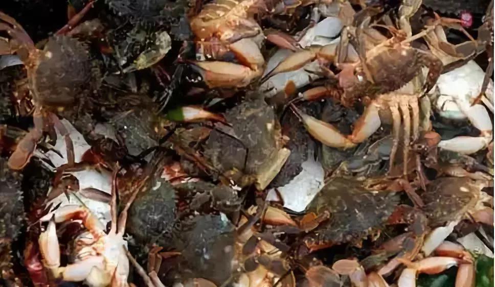 开海在即，威海渔民忙着修船补网，整装待发