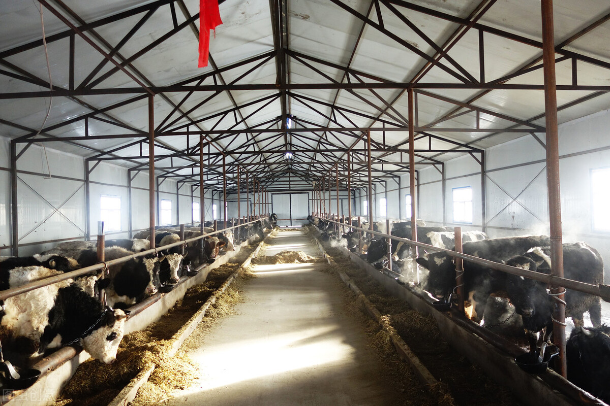 随州小商机,随州2024重大项目清单