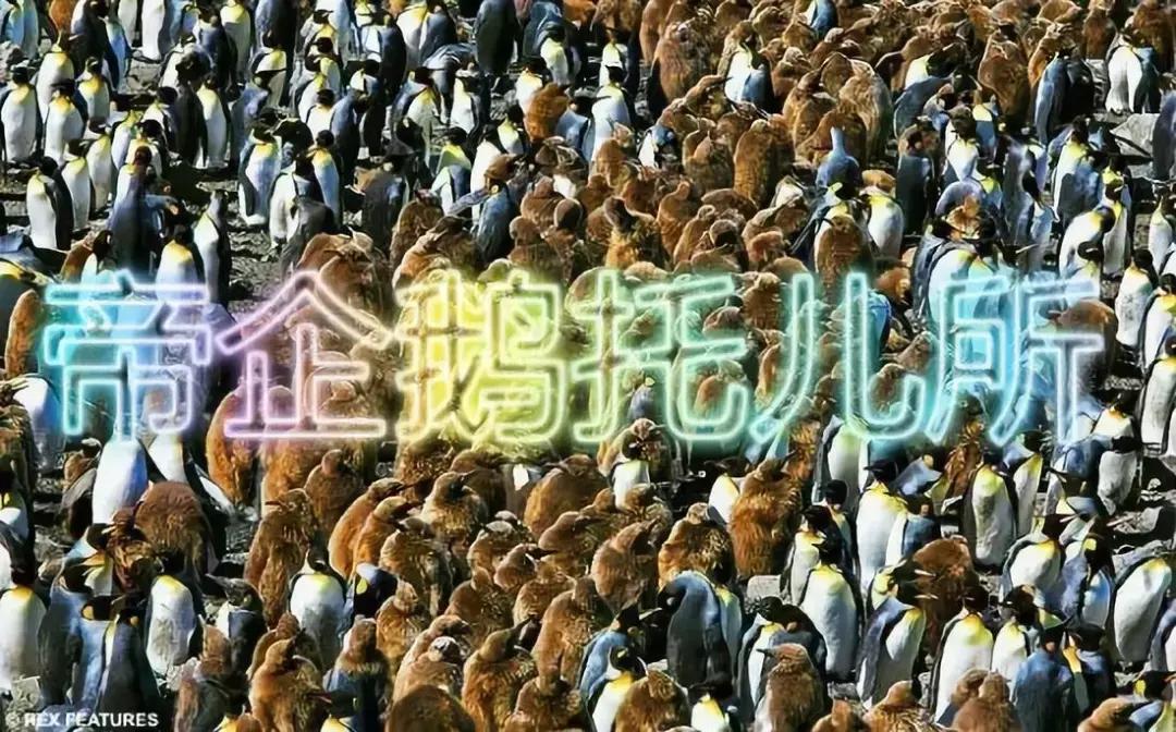 黑五疯狂打折视频,黑五冲进商场