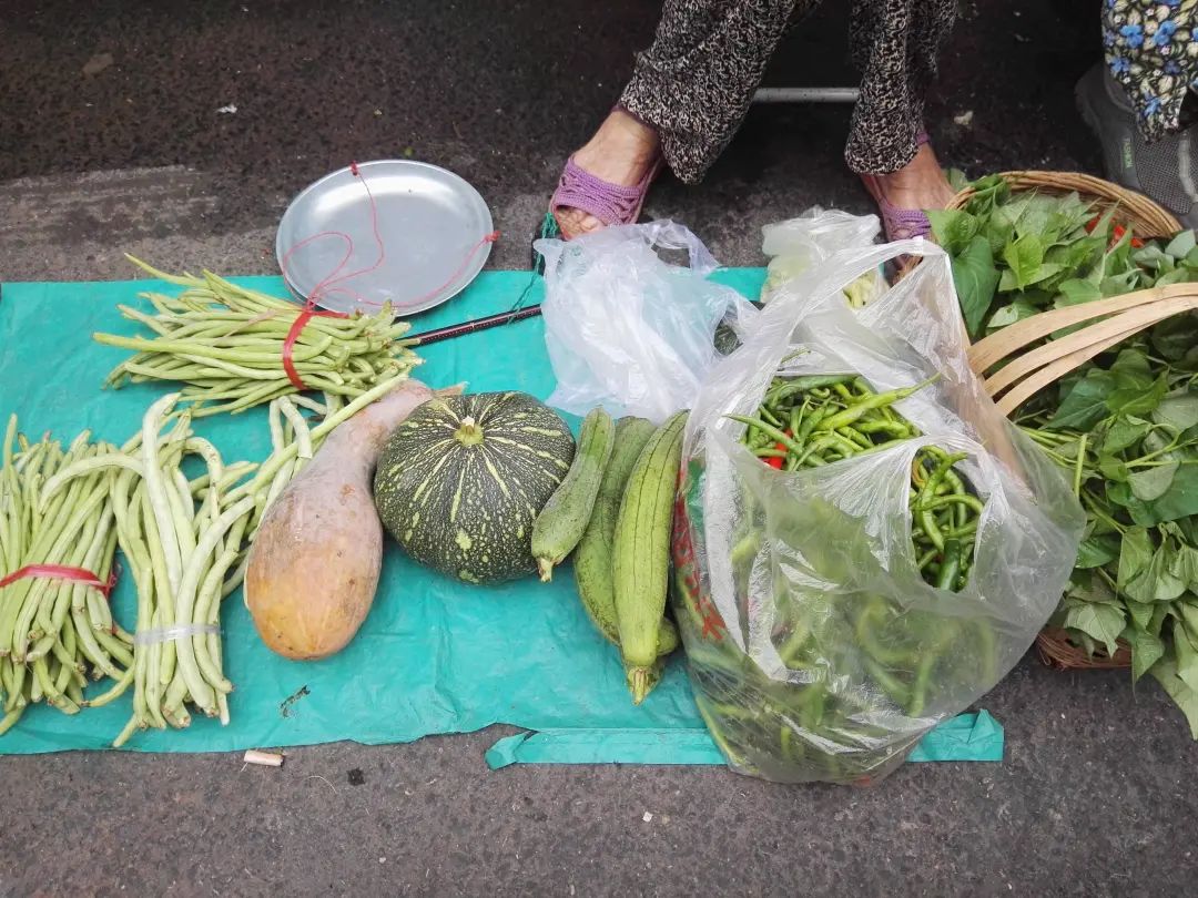 生猪价格进入深水区,生猪价格破9冲10