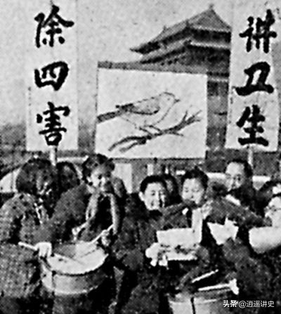 抓老鼠除蟑螂,灭四害捉老鼠