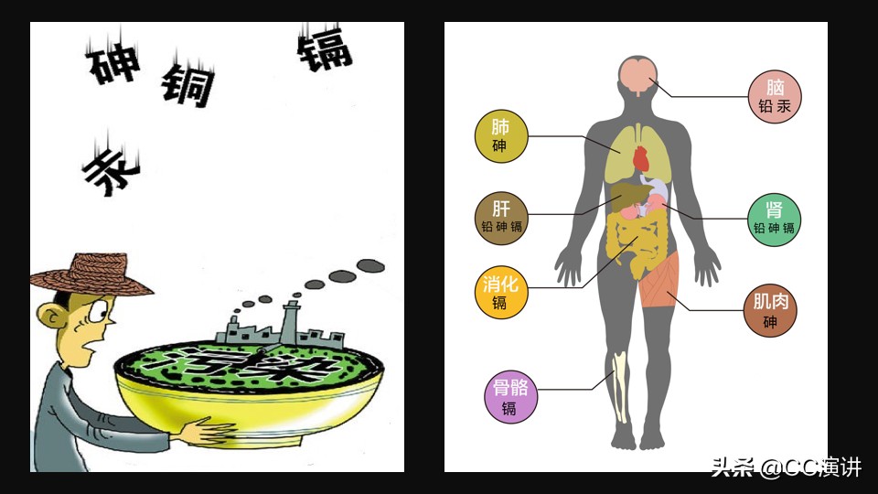 湖南湘江流域重金属污染严重,湖南湘江重金属污染