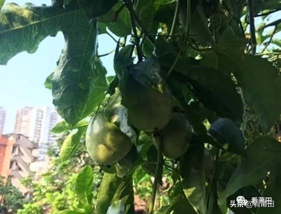 莆田市出租屋,莆田租房现代风