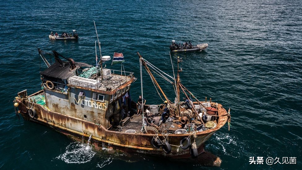 为什么说带鱼很少看见活的,我们为什么看不到活的带鱼