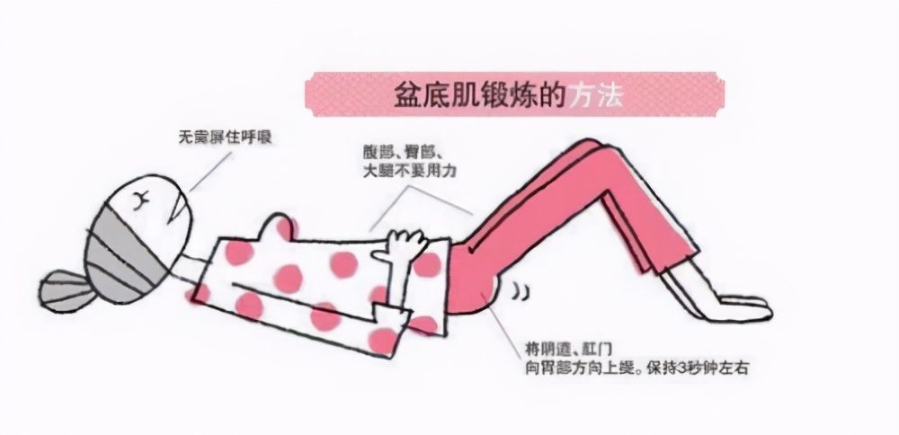 盆底肌锻炼“神器”，众多明星的推荐