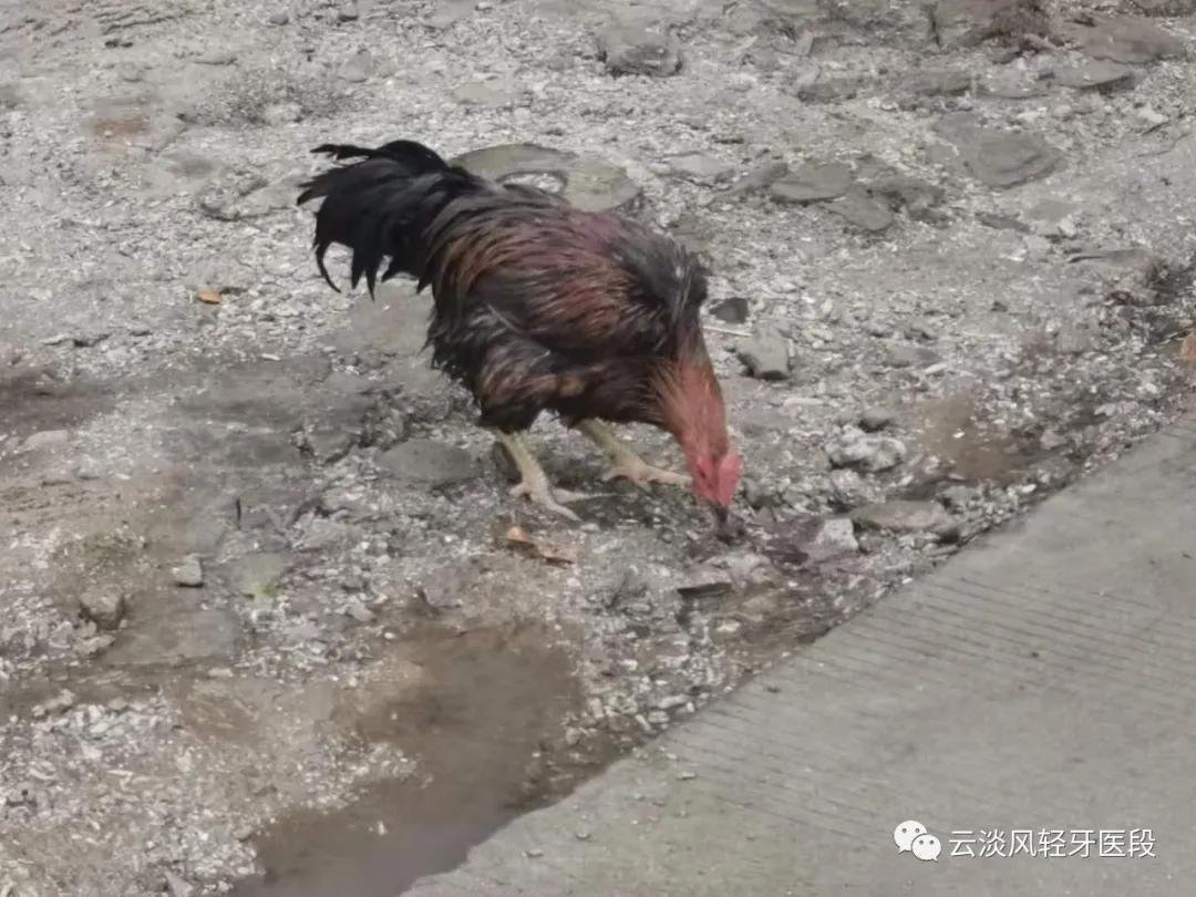 五一的北海涠洲岛,北海涠洲岛三天两夜旅游攻略