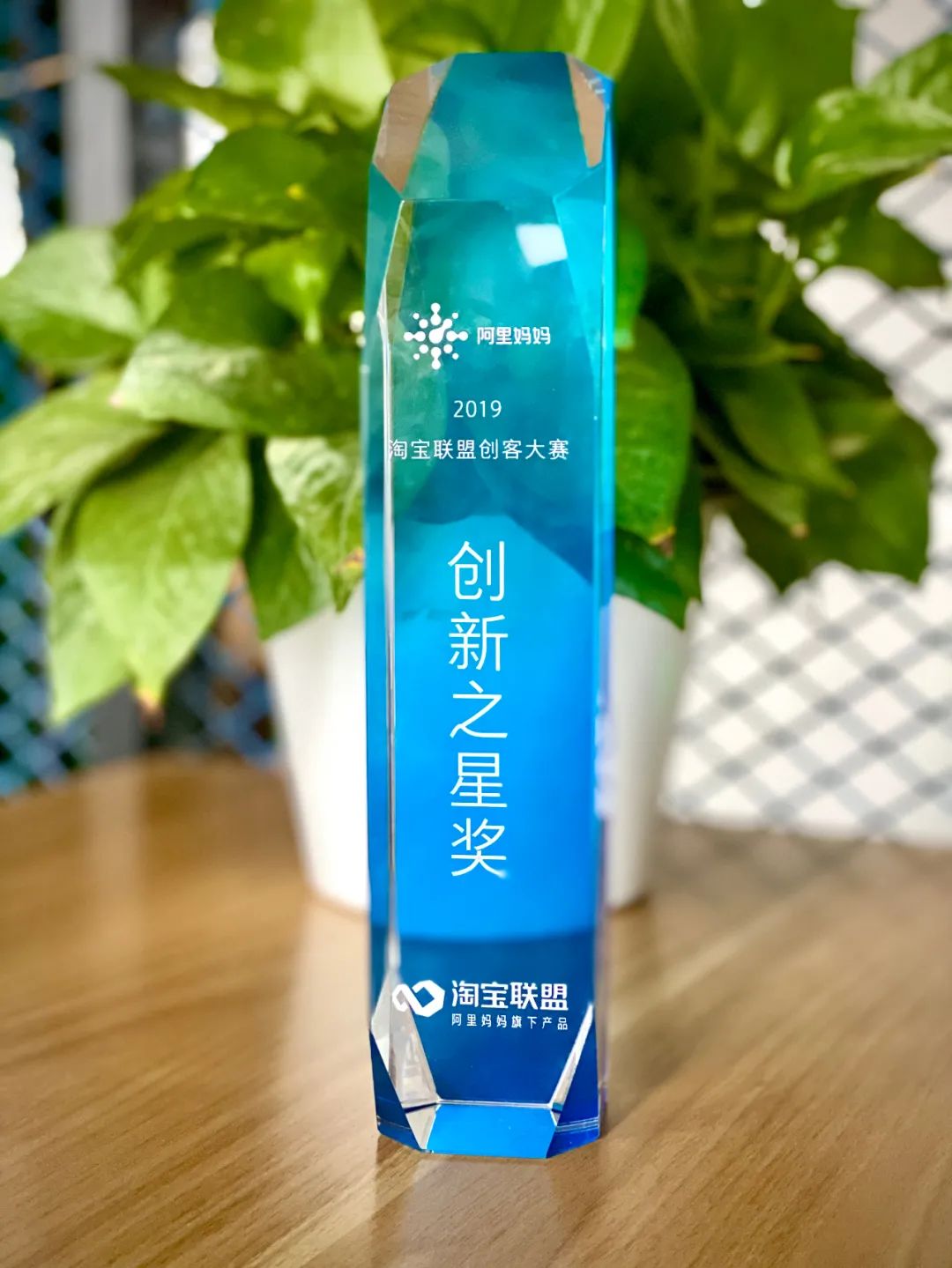 这是一篇给小白入局淘宝客看的文章