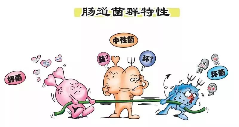 疫情蔓延，免疫力提高是关键！益生菌的秘密你应该要记住