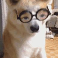 一戴眼镜就感觉有重影,一戴眼镜就头晕眼胀