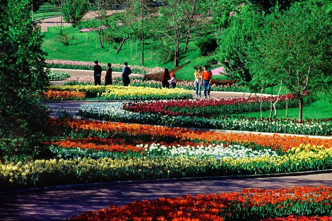 答应我疫情结束后好好锻炼,等疫情过了我们去沈阳